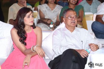 Weekend Love Movie Audio Launch